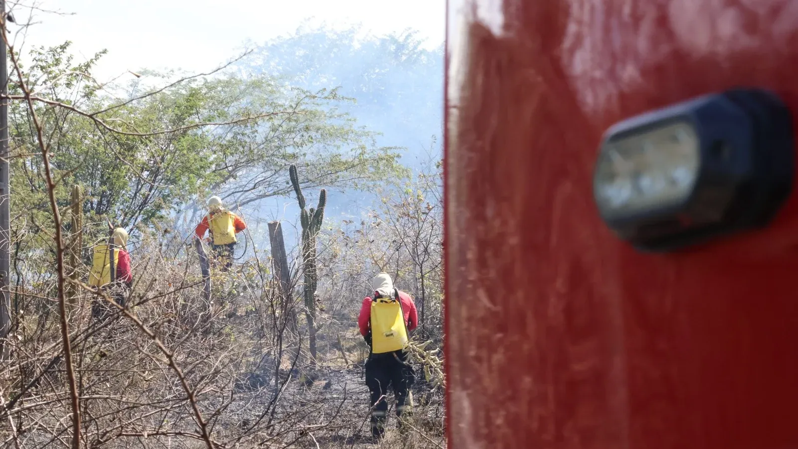 Incêndios em vegetação aumentam 21,4% no RN em 2026, aponta Corpo de Bombeiros