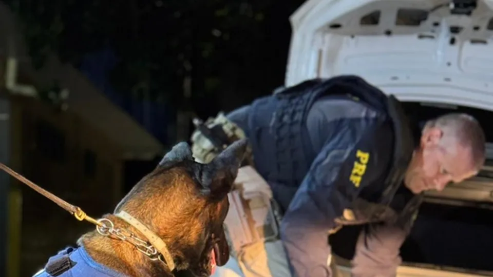 PRF apreende mais de 47 kg de cocaína escondidos em carro na BR-101 em São José de Mipibu