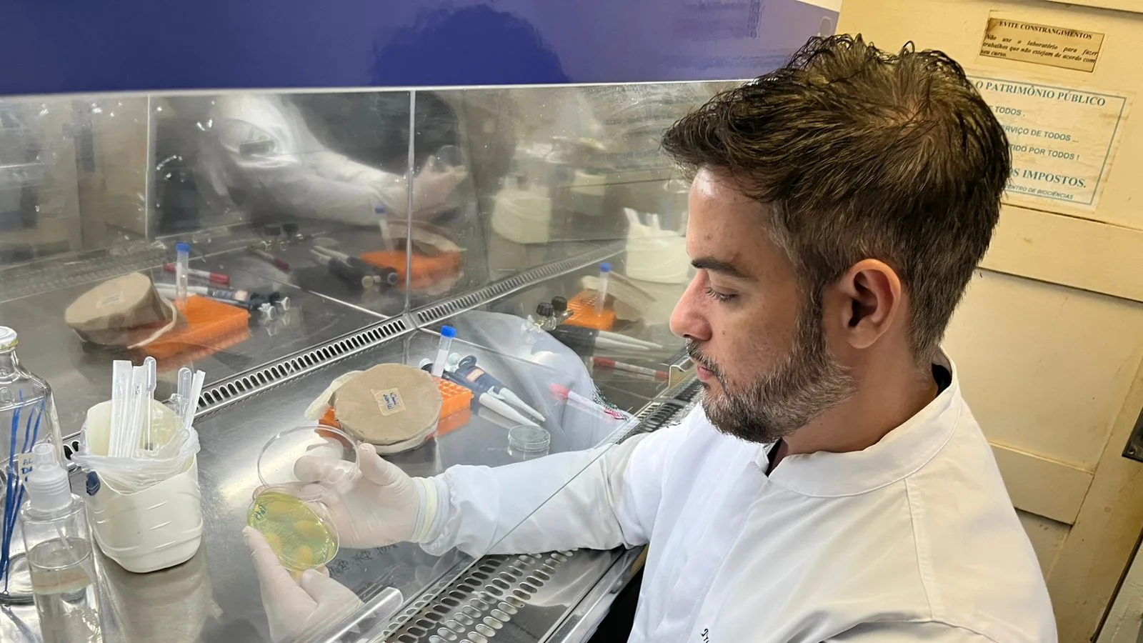 Bactéria encontrada em detergentes: pesquisadores da UFRN estudam a Pseudomonas aeruginosa, classificada como patógeno prioritário pela OMS