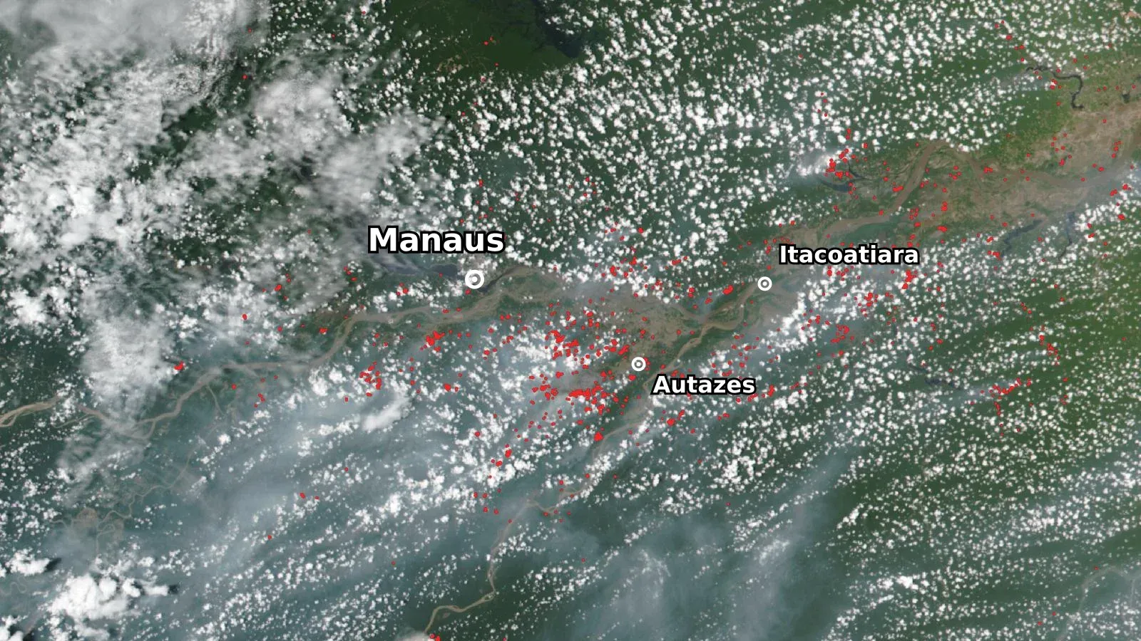 Imagem de satélite da região de Manaus com centenas de pontos vermelhos de focos de calor e uma névoa cinza de fumaça cobrindo a floresta